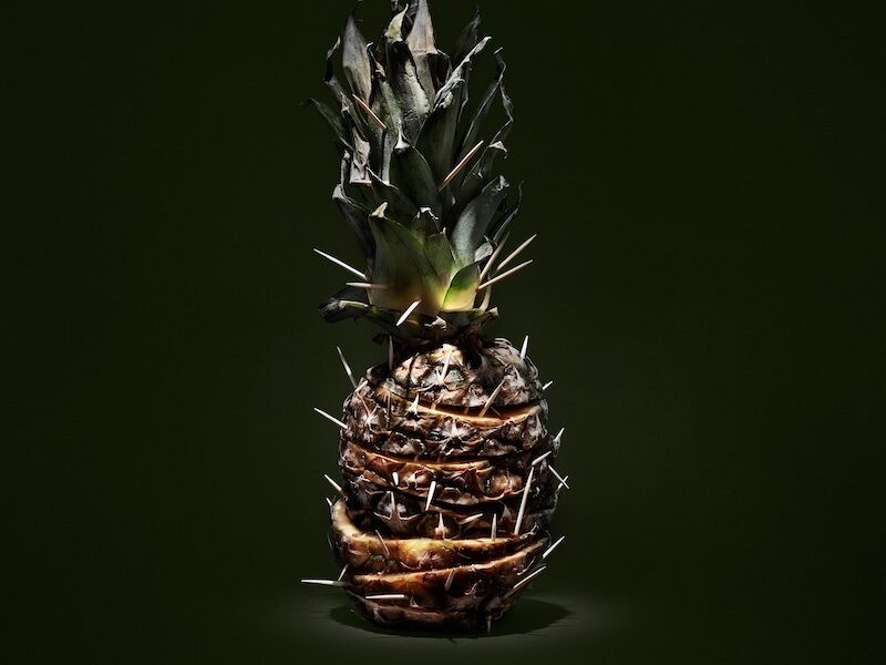 a picture of one pineapple against black background